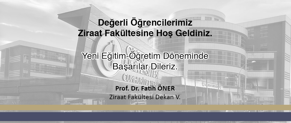 First slide